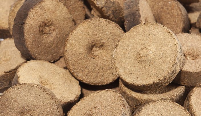 Briquettes used for cooking. These are before carbonization.