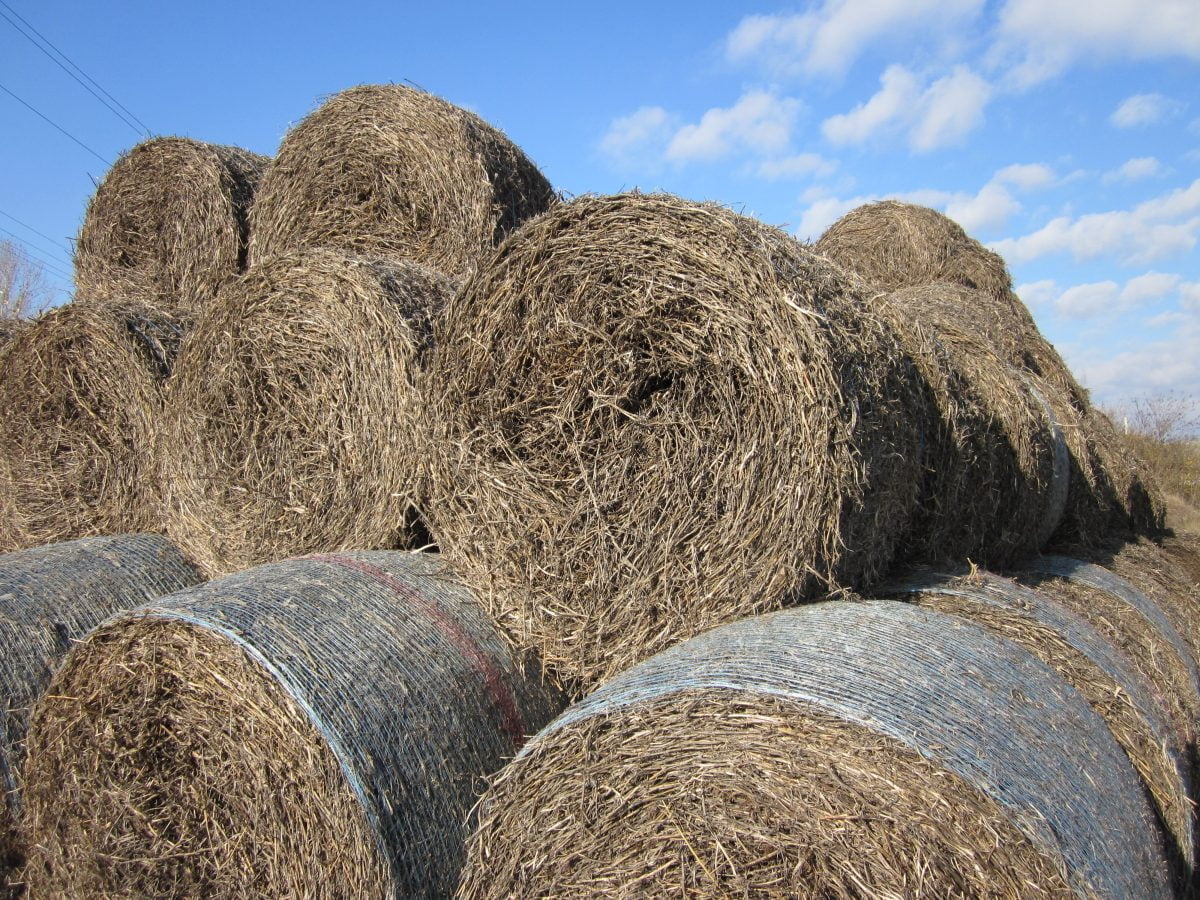 Round straw bales