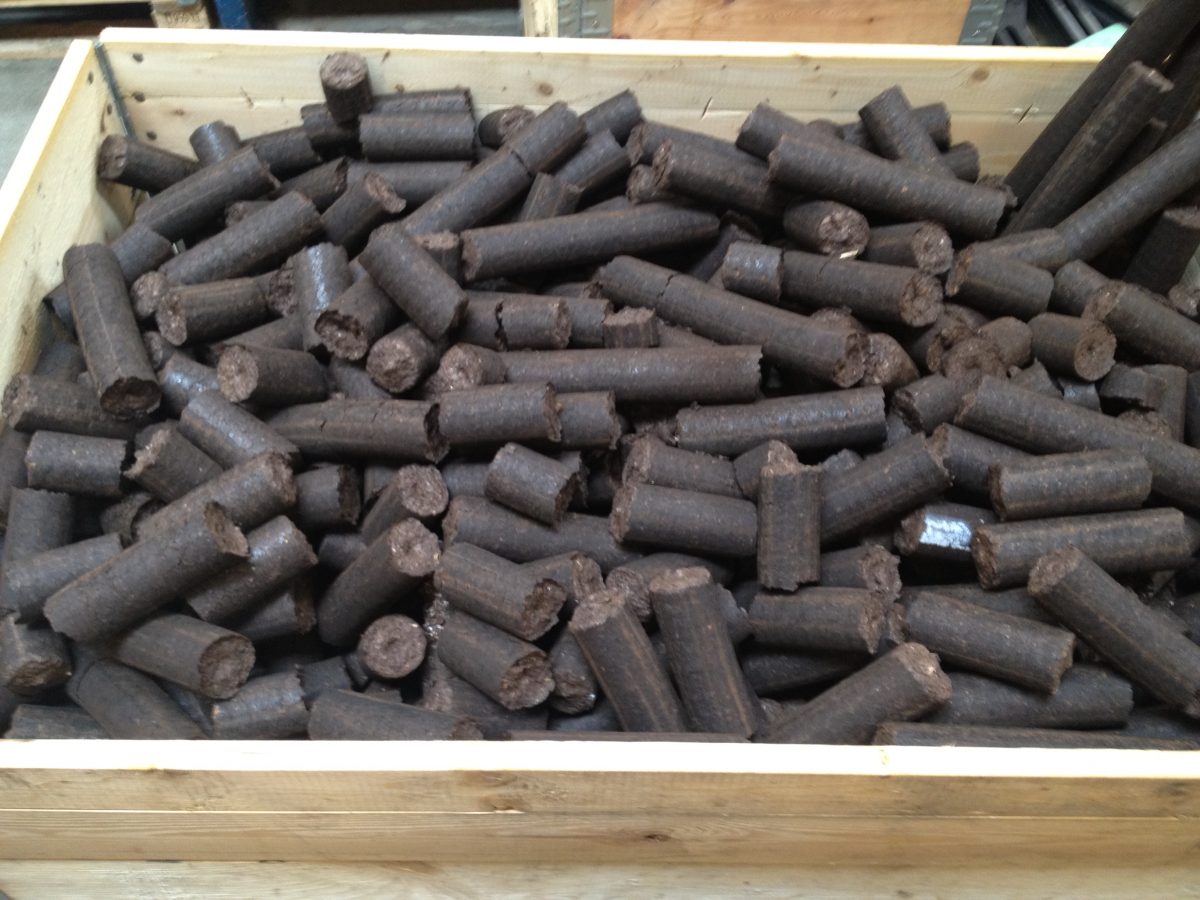 Finished briquettes of torrefied wood