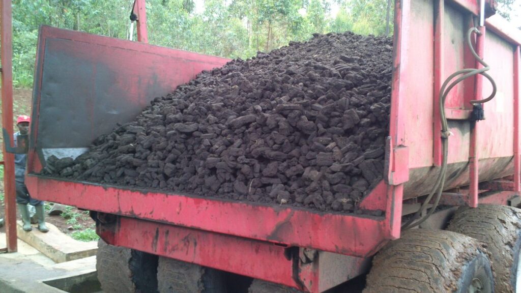 Peat raw material before briquetting