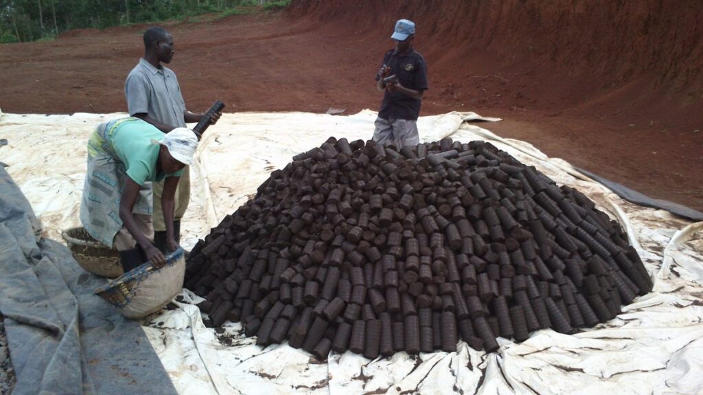 Finished briquettes on display