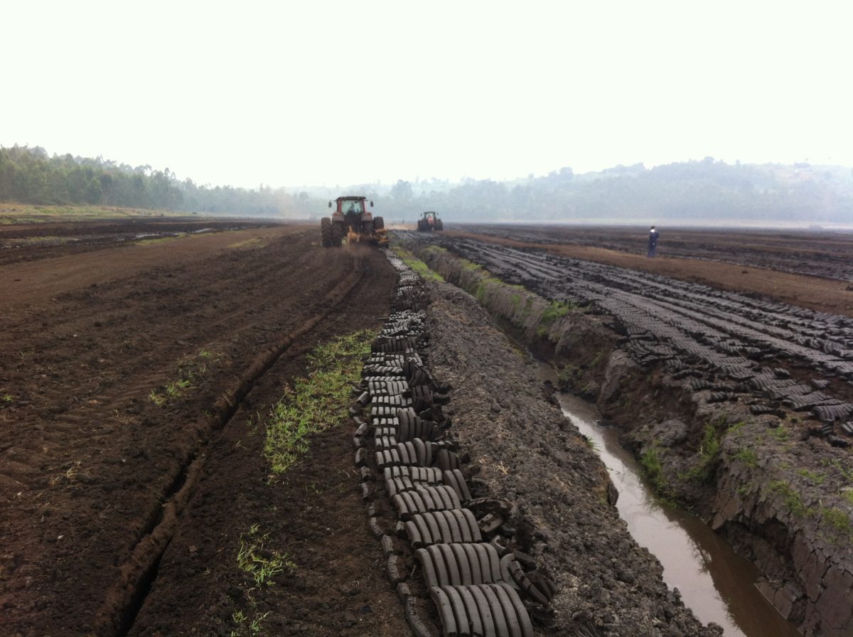 Peat being harvested and dried in the field