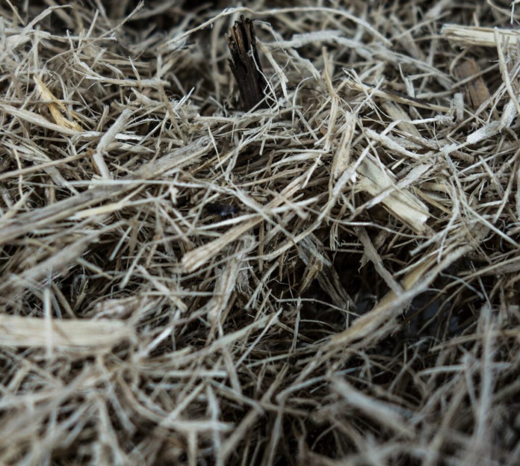Dried raw materials - Napier grass