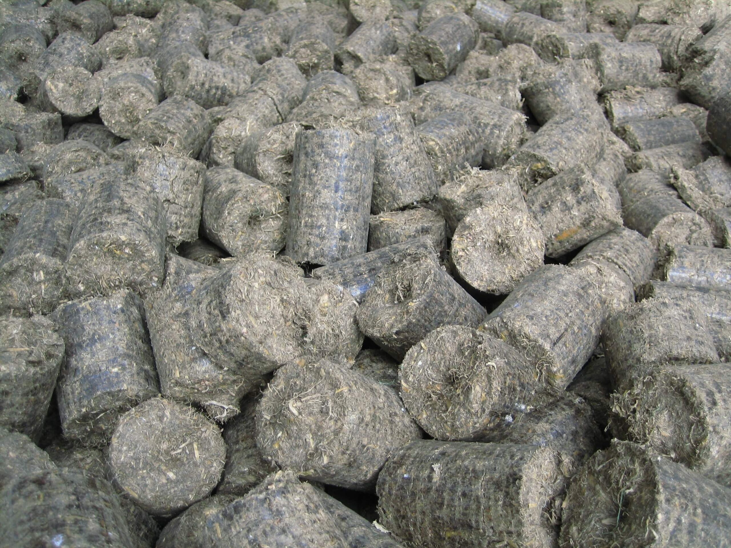 Agri Briquettes in the briquetting process